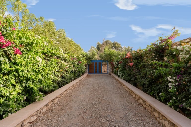 warm welcoming by bougainvillea