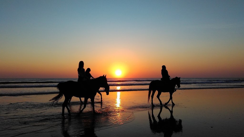 Reiten am Strand bei Sonnenuntergang